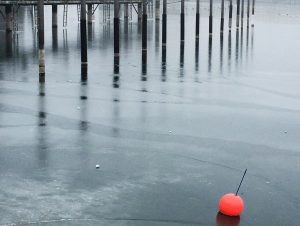 fog-bolas-1