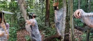 Bordas do Corpo: exposição de Sonia Guggisberg no Espaço das Artes (EdA), da Universidade de São Paulo. 01