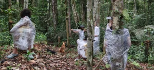 Bordas do Corpo: exposição de Sonia Guggisberg no Espaço das Artes (EdA), da Universidade de São Paulo. 02